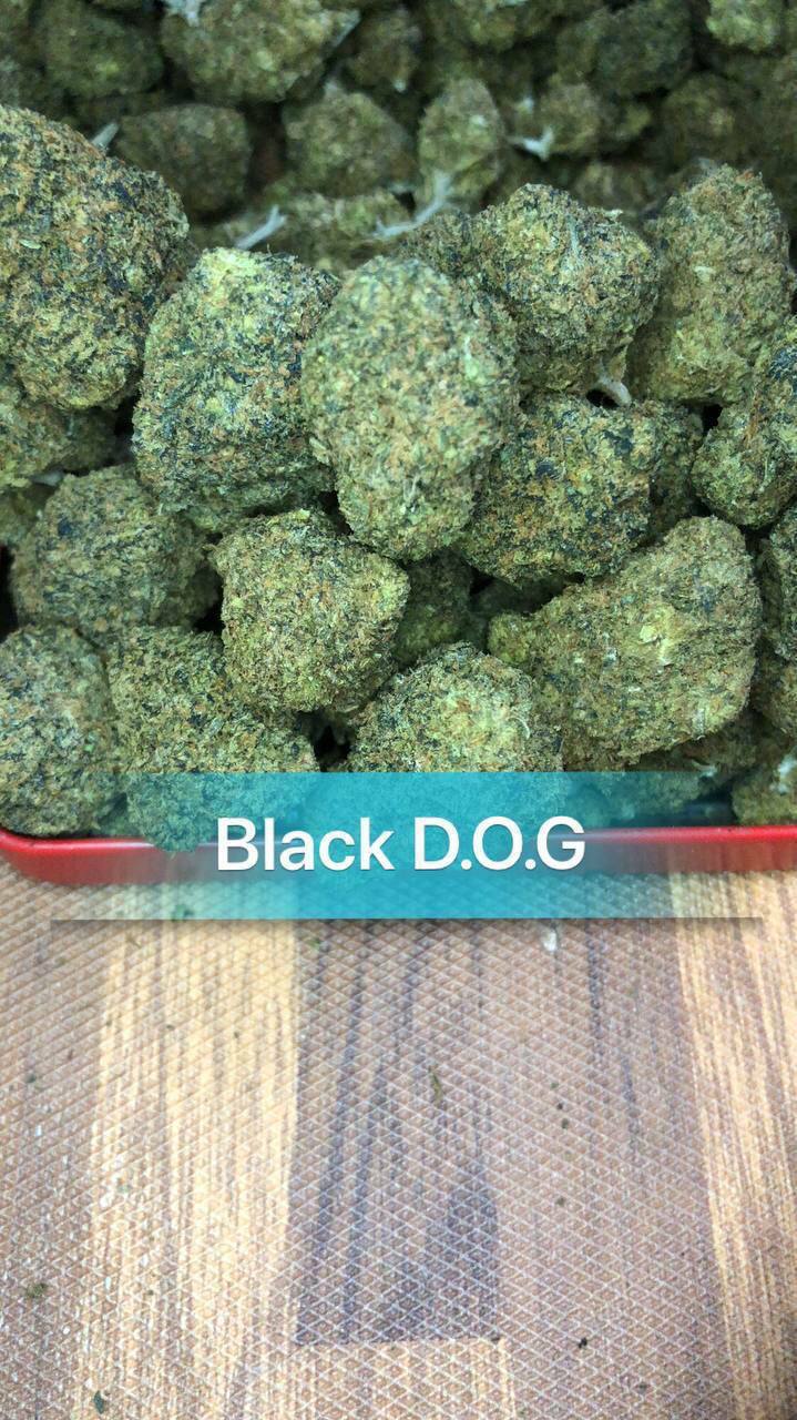 Cửa Hàng Ma Túy: Giá Tốt, Chất Lượng Cao